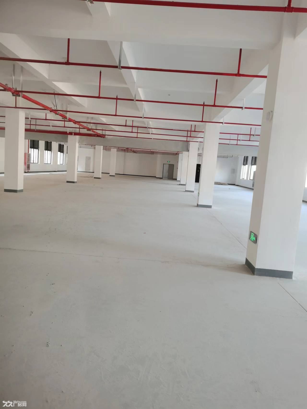 宁海长街开发区厂房出租
