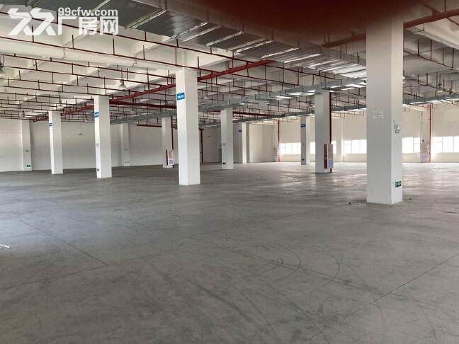 黄埔开发东区花园式厂房2400方招租,原房东,精装修,可办环评 - 4