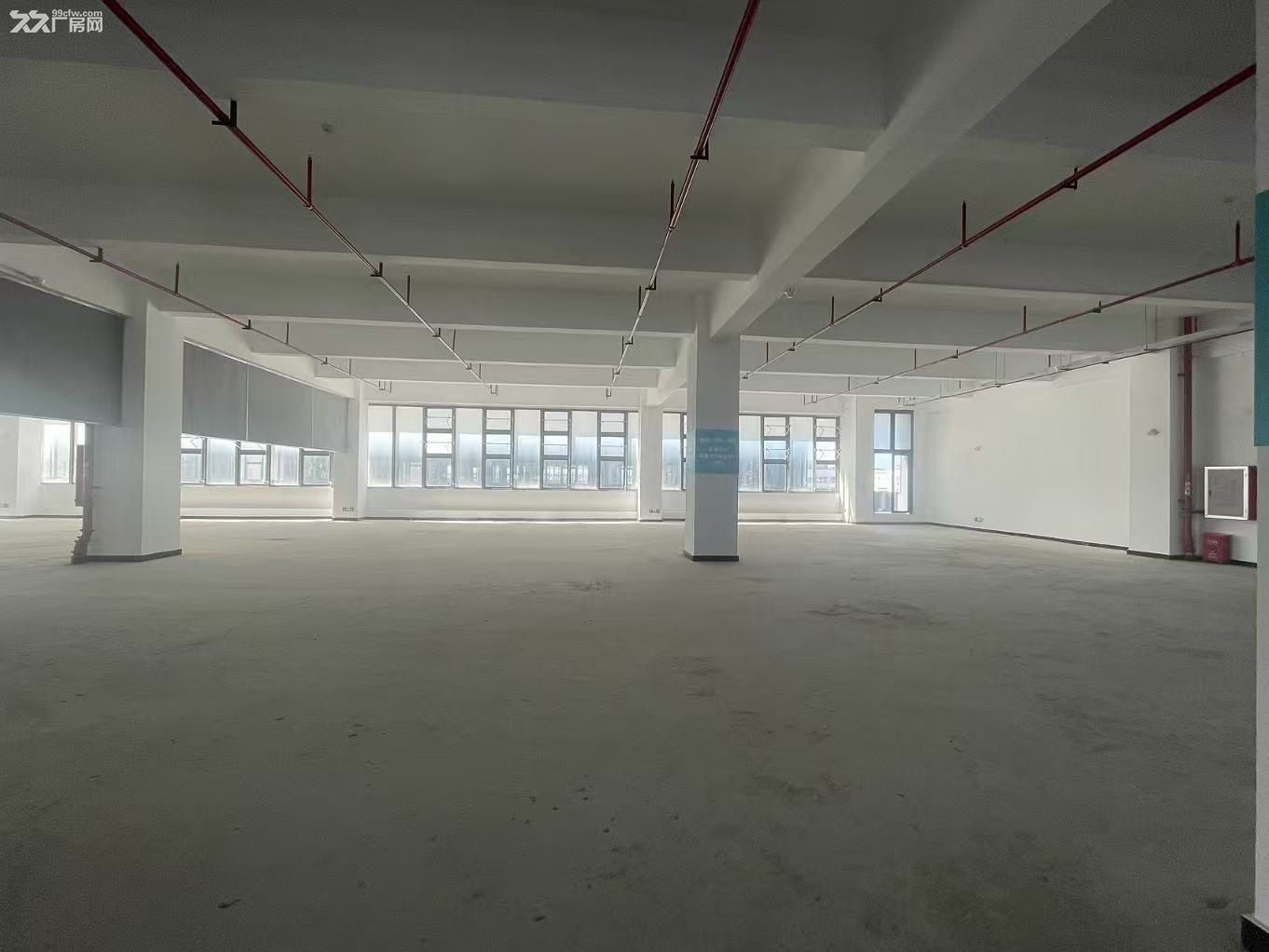 南屏科技园~100~7000㎡一楼至5楼都有 - 2