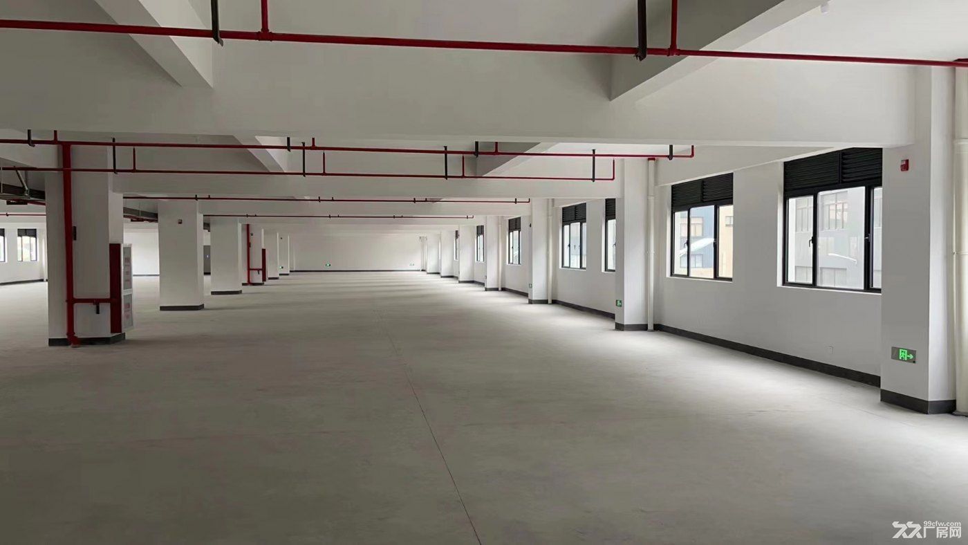 滨江区四桥下,高科技厂房出租面积有800方到整层10000方 - 3