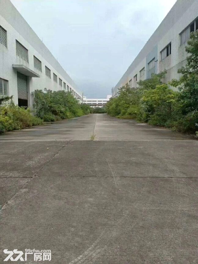 禅城南庄工业园区新出单一层厂房,10000平,可分租,电大,可办环评
