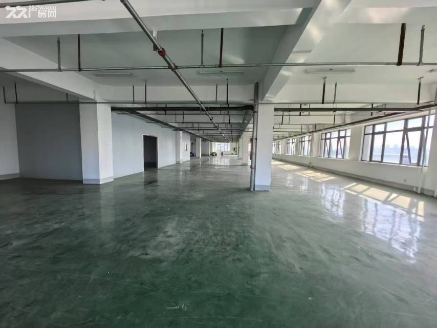 新站区标准厂房独门独院920平可分租 - 8