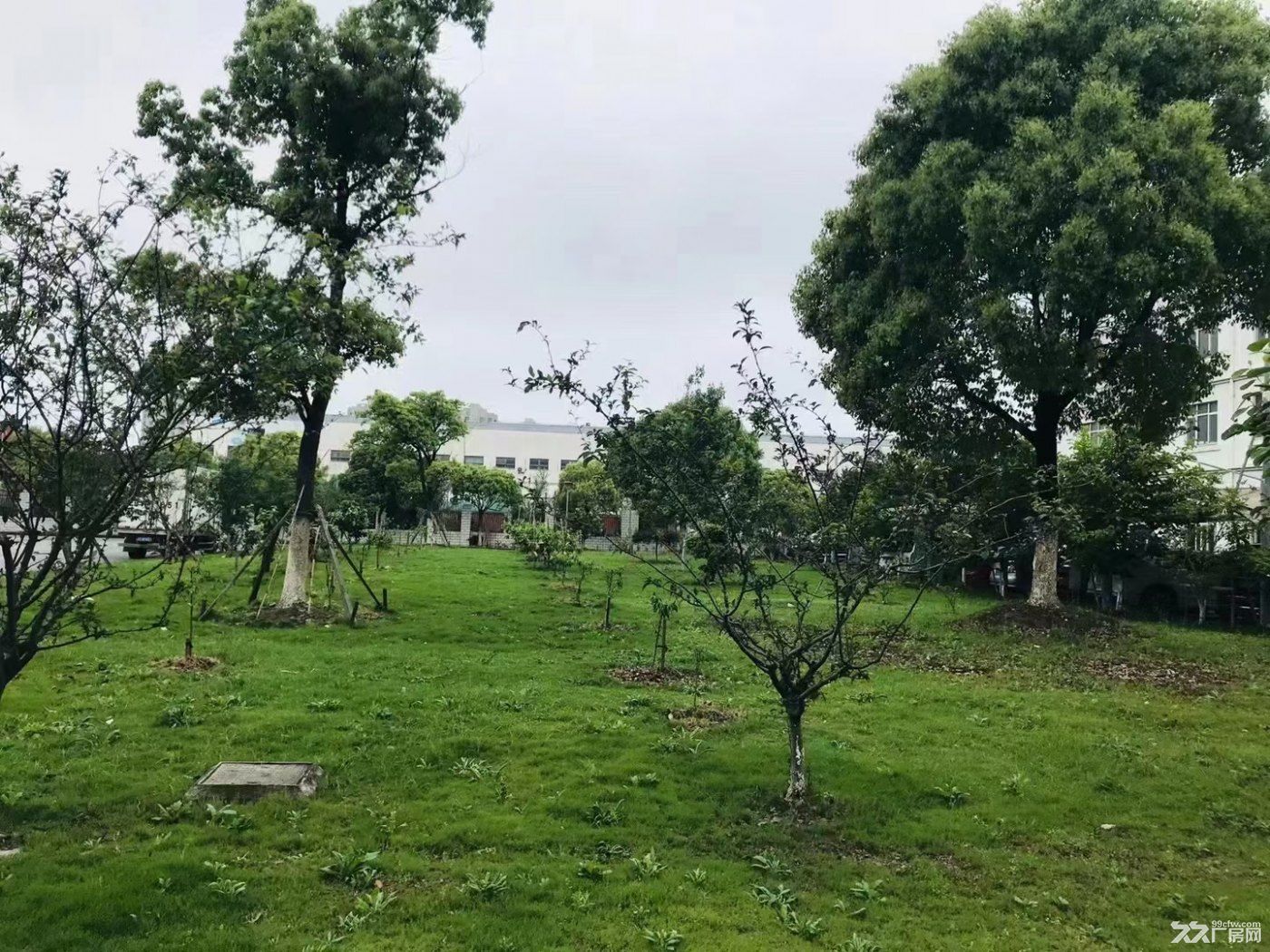 上海临港自贸区大环评104板块工业厂房业主直租 - 8