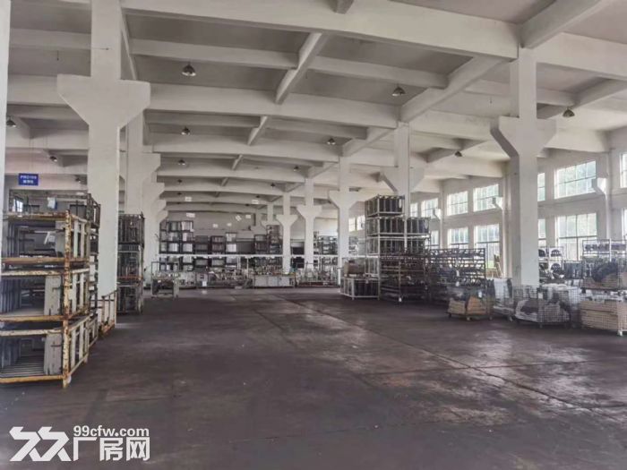 AA(新出)独栋单层5000平标准厂房 可架行车 可分租 - 2