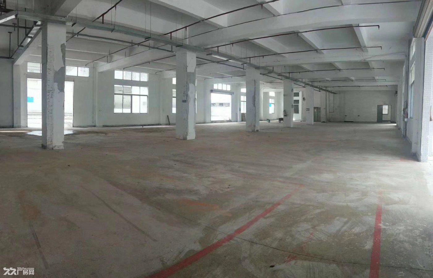 全新食品园区配套全,独立产权 - 2