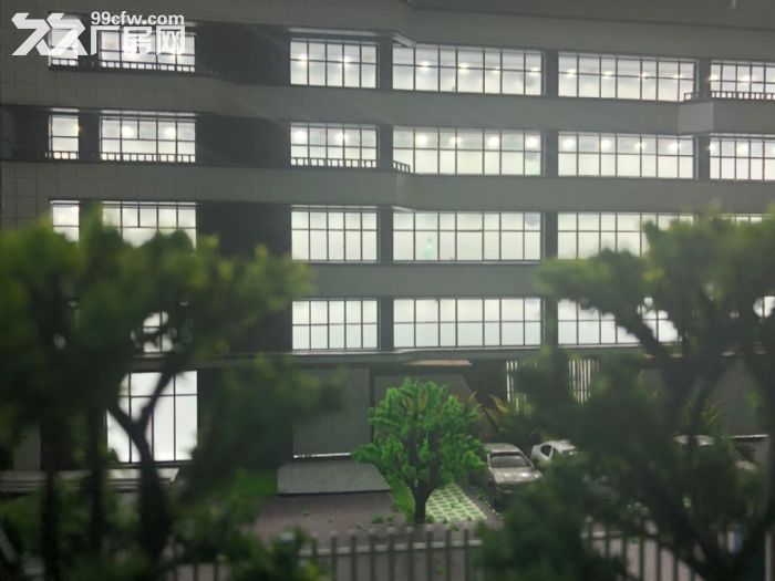 稀缺厂房开发商直售50年产权标准厂房2300平 - 3