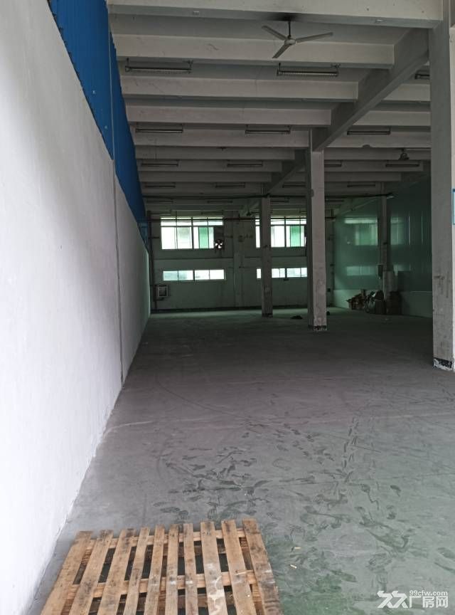 黄埔区埔南实惠厂房出租 - 2