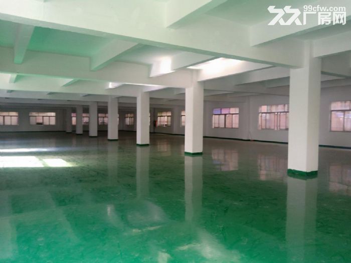 深圳龙岗区1千至3万平方优质房源汇集 - 6