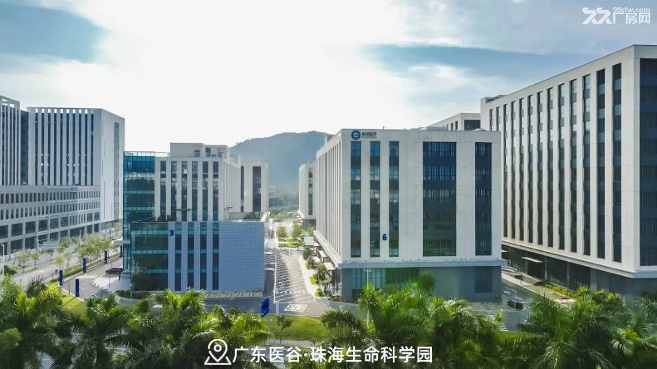 高新区全新大平层厂房,