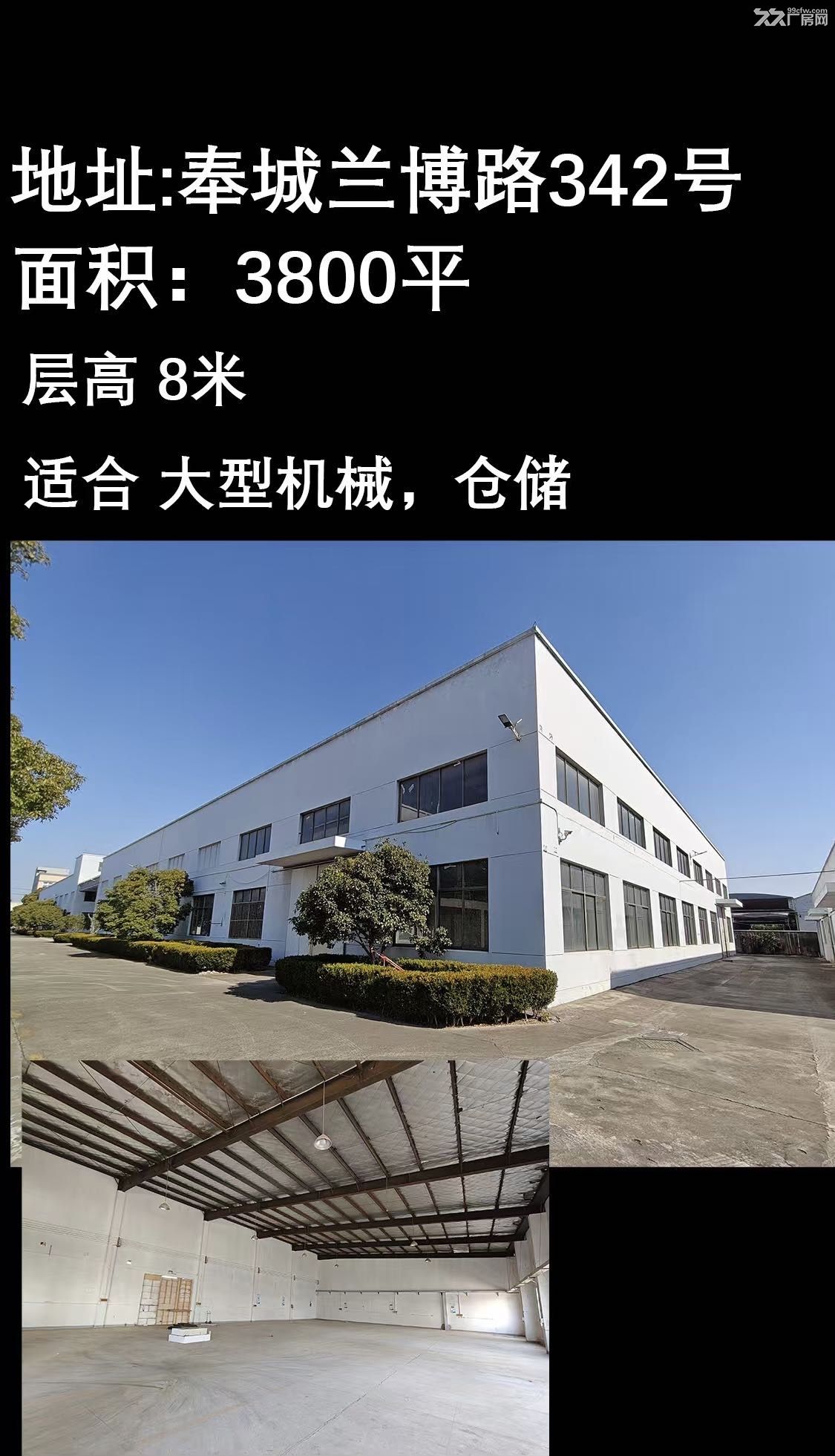标准厂房,房东直租,价优! - 3