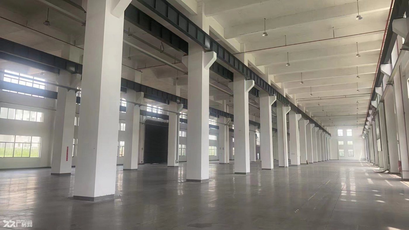 常州天宁区全新国土工业厂房出售