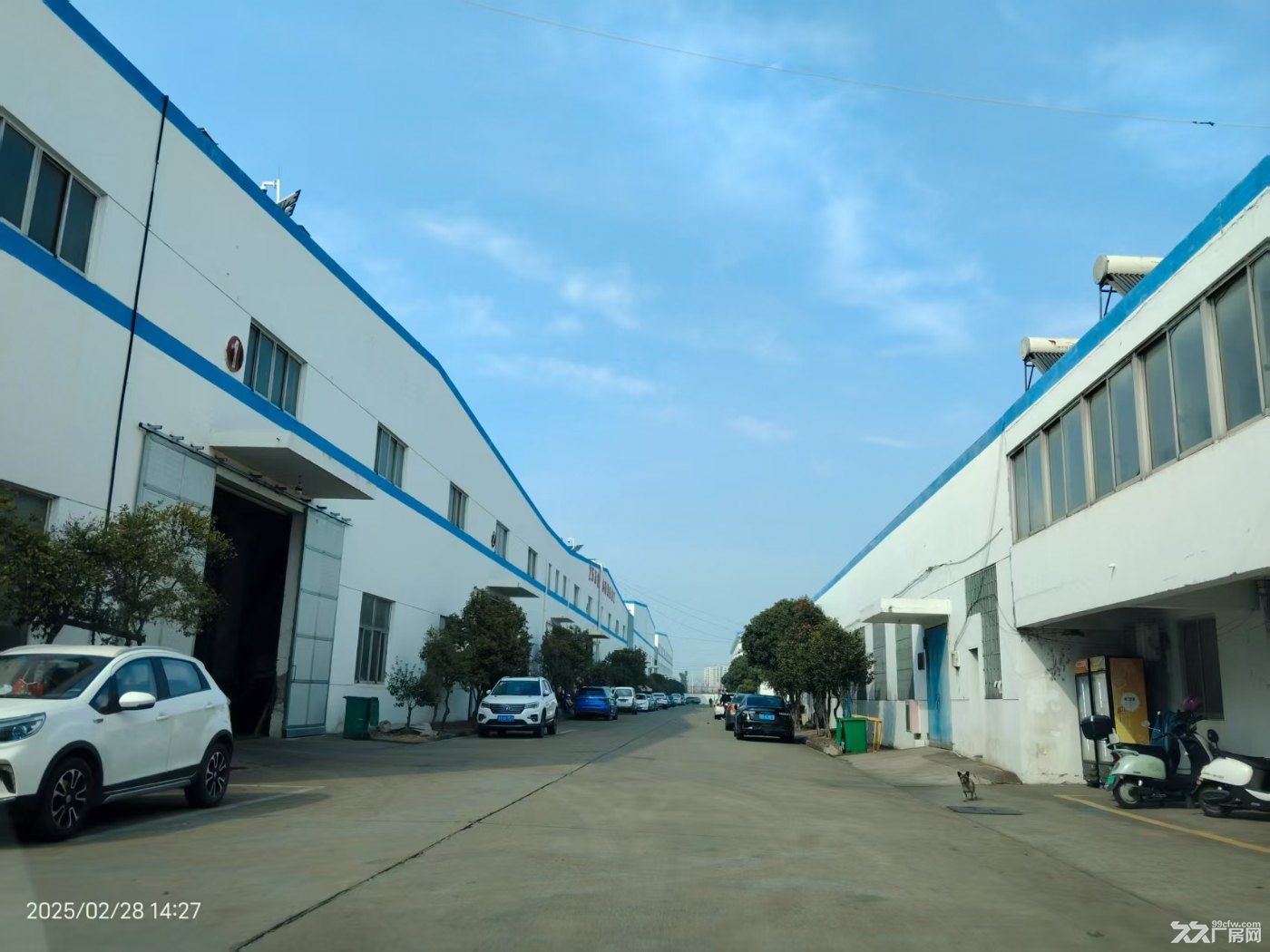 一楼独门独户210平，235平，466平，700平，东北塘一楼独门独户600平 - 3
