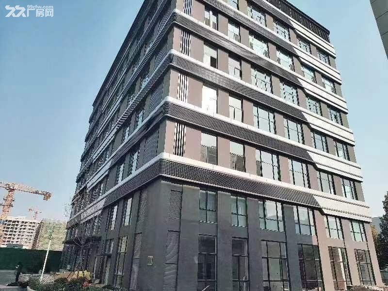 清盘 千平厂房 现房 园区环境好配套齐全 - 4