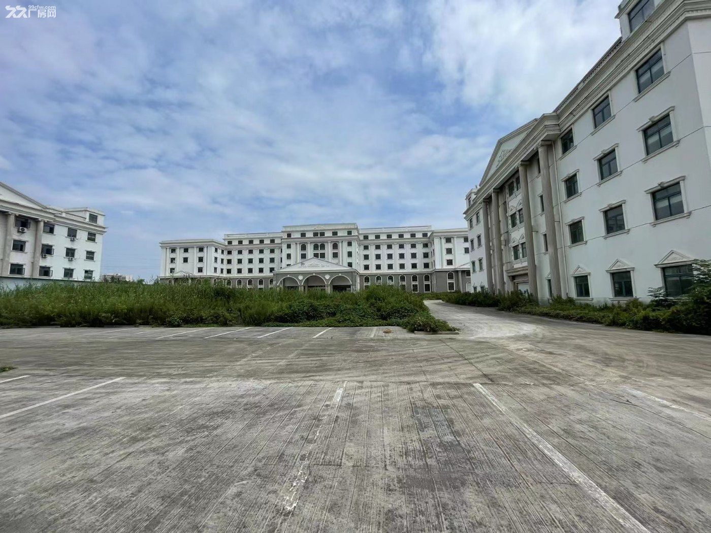 南京江宁大学城附近57000平米全新标准厂房出租 - 3