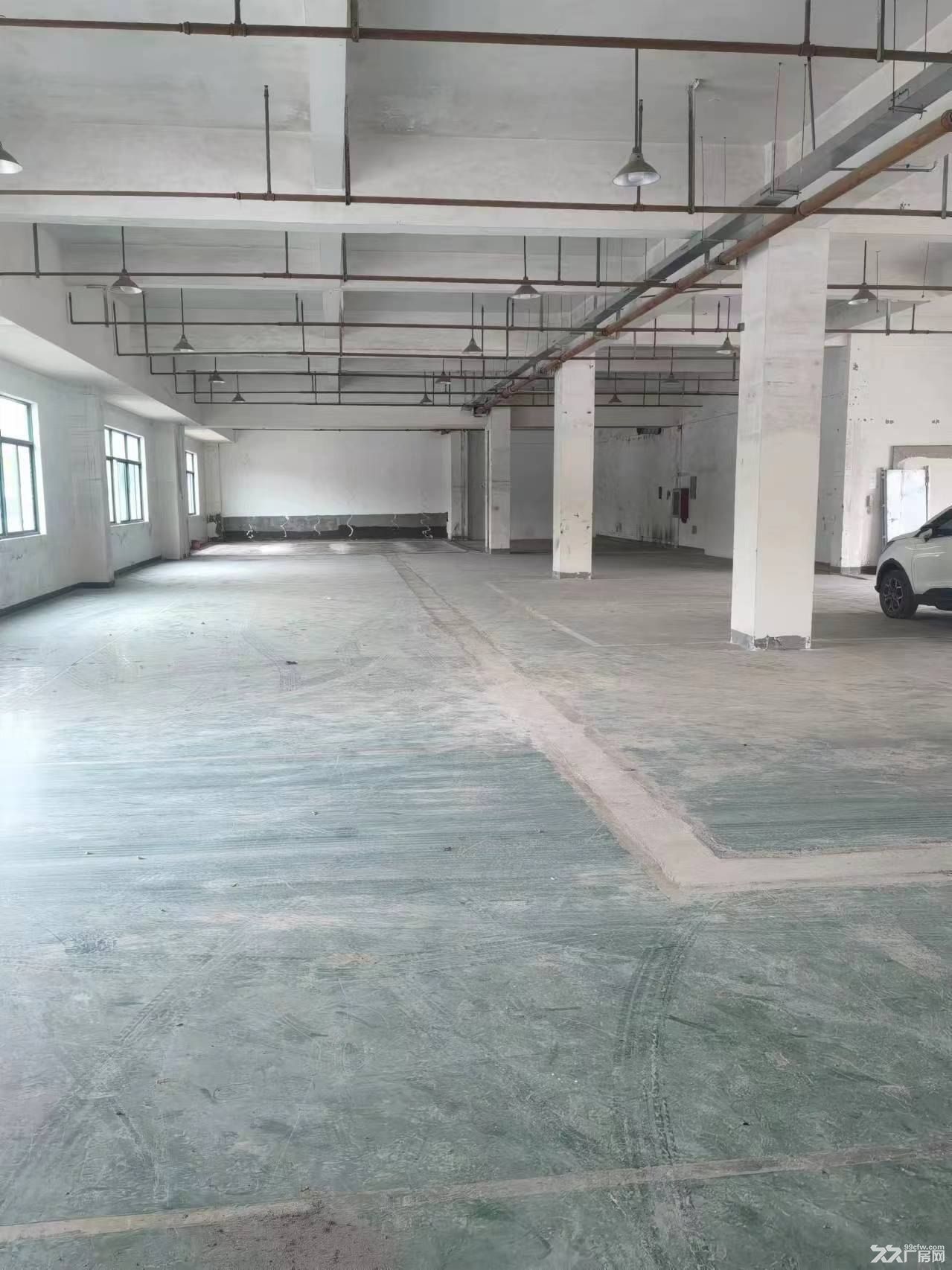 南汇园区520平标准厂房出租消防喷淋证件齐全104板块空地大 - 7