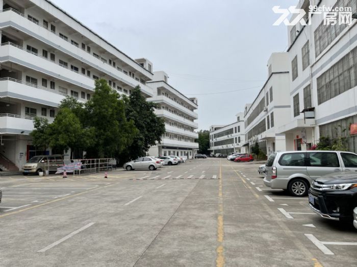 观澜地铁口周边标准厂房3000平，商业配套齐全，适合电商外贸 - 7
