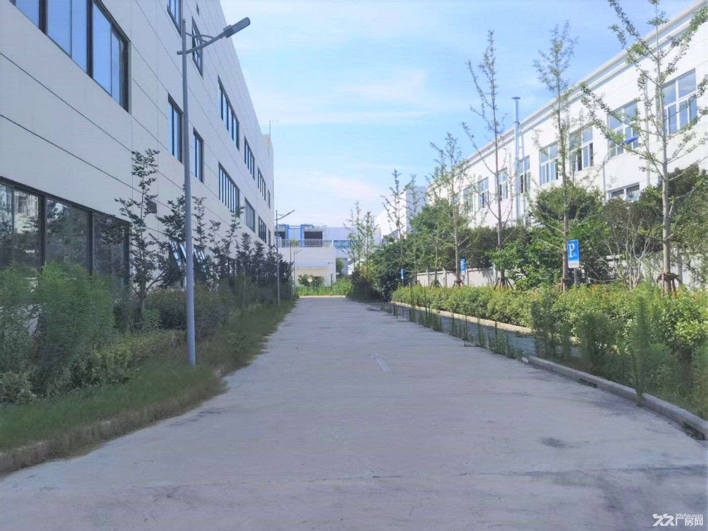 嘉定外冈万平厂房独门独院 - 6