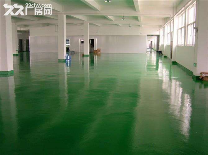17.禄口.1到2楼7000平米.共两栋.标准厂房.层高5米.有货梯.客梯.独院 - 2
