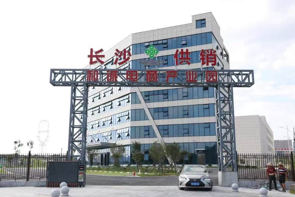 星沙产业基地 和诚电商产业园 办公 厂房 仓储 - 7