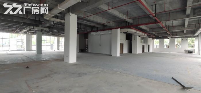 浦东金桥研发厂房,104地块,有环评,适合研发、检测、实验室,办公等企业 - 6
