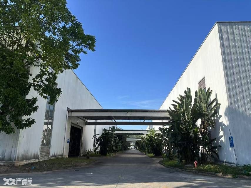 黄埔区知识城层高12米工业厂房出租 - 3