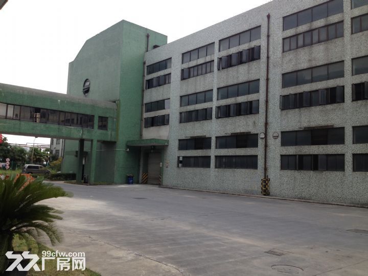 徐浦大桥附近10000平米标准仓库出租可分割 - 8
