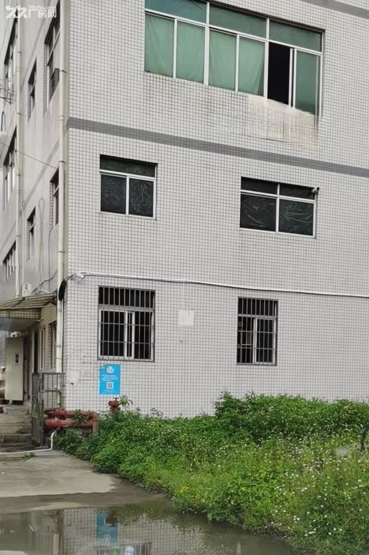 珠海市唐家湾金鼎独栋厂房5400平方3000万 - 7