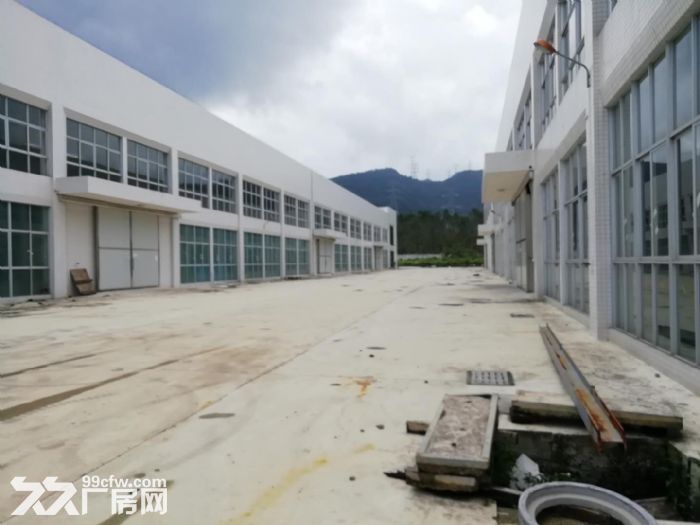 台山工业新城独院全新厂房16000方招租 - 4