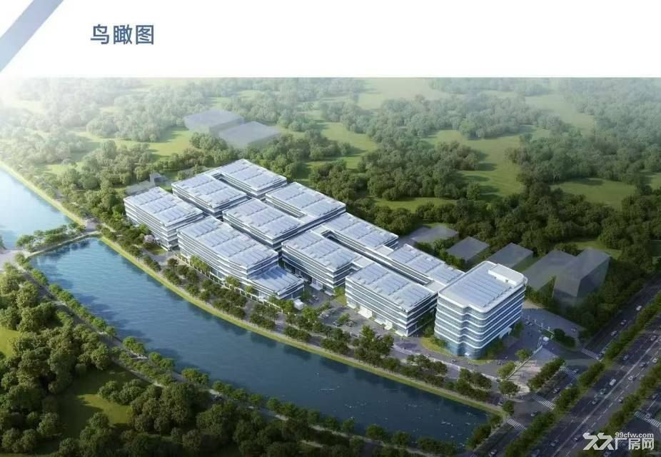 邗江区全新国土厂房2000平 独栋 首层挑高10米 扬州最低价 - 4