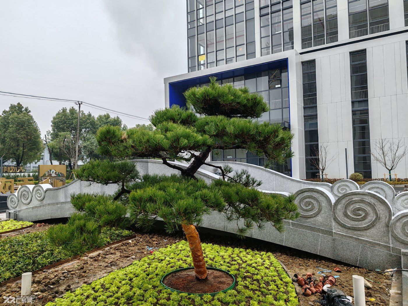 苏州工业园区高标准工业厂房招租 - 5