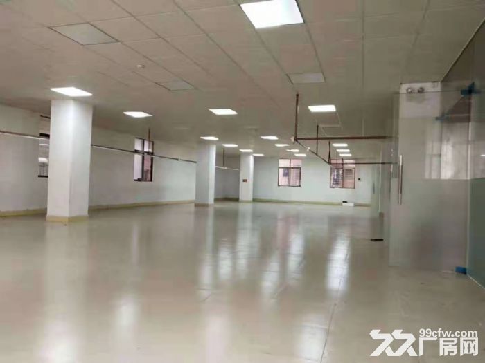 工业新城附近500平方贸易办公型厂房招租,水电现成 - 3