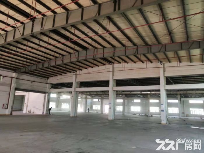 台山台城工业区独院单一层厂房2500平方招租 - 4