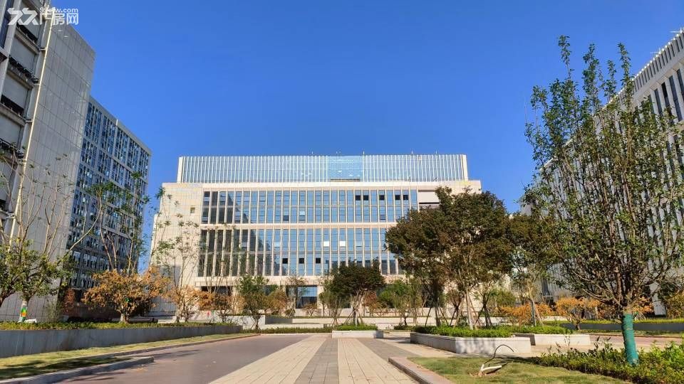 达州青网科技园全新厂房直租 - 5