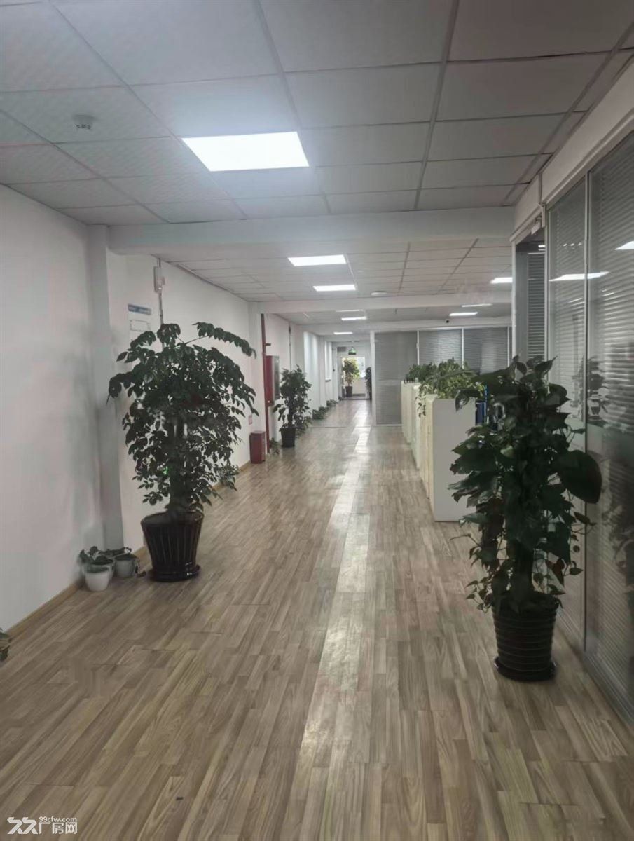 上海嘉定厂房火车头厂房大单层厂房配办公楼多口可进打车 - 3