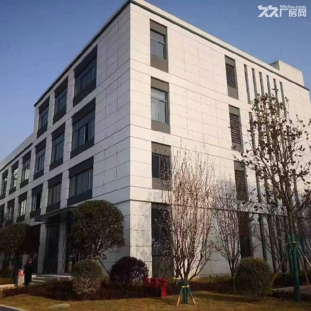巴南界石标准工业厂房出租 - 4