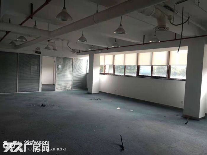 整栋3500实验室可办环评104地块实验室研发办公均可 - 5