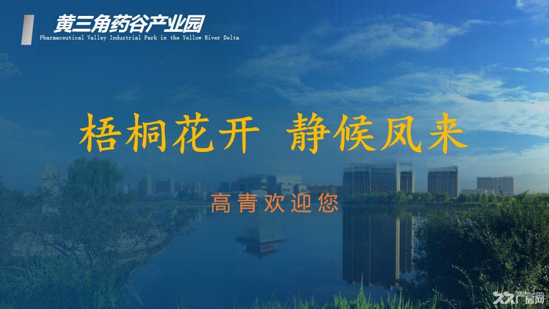黄三角药谷产业园工业厂房出租