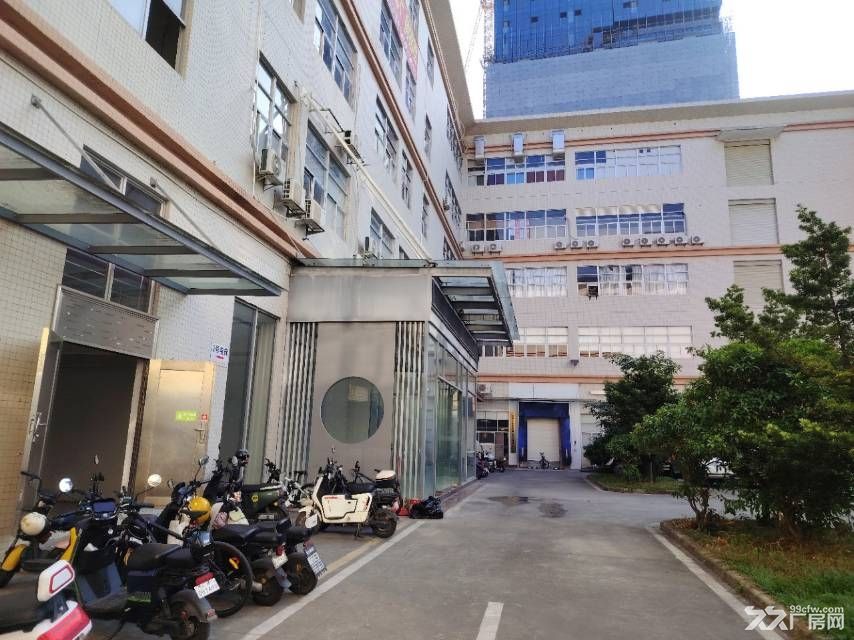 黄埔区开源大道边超大实惠厂房出租 - 3