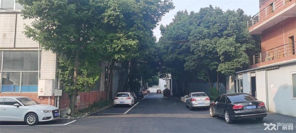 出租双流蛟龙工业港400至700平米厂房.库房 - 5