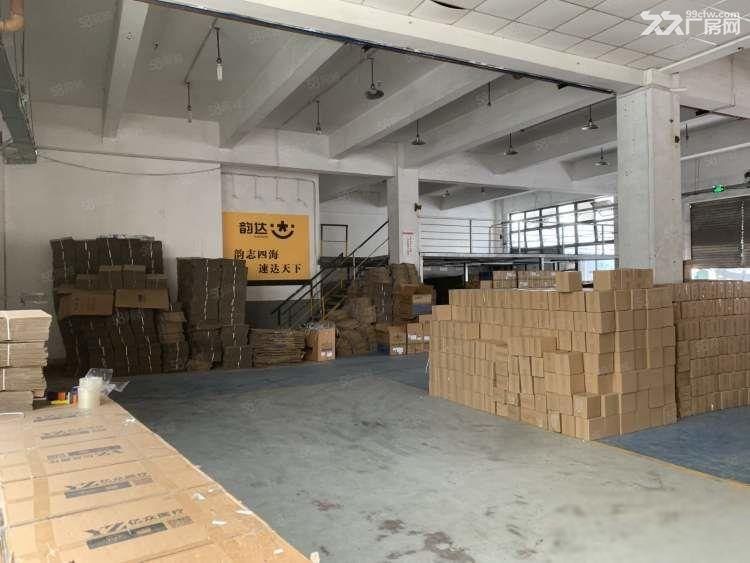 康桥550平层高5.5米 业主直租 独门独院 低租金 近地铁 - 4