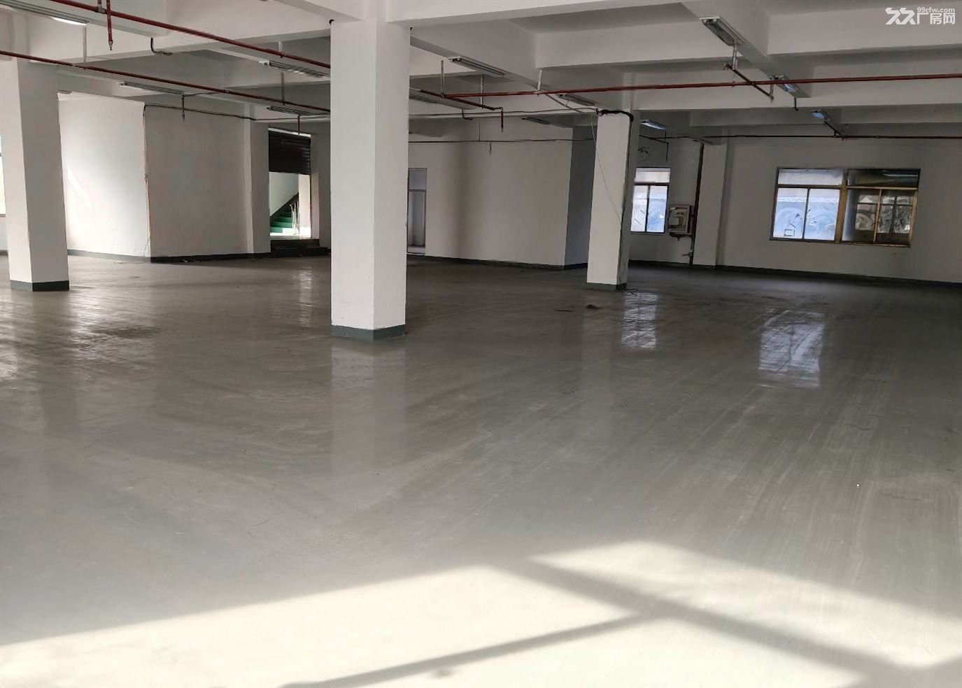 房东直租:白鹤楼上仓库出租,320平,570平650平,大货梯 - 2