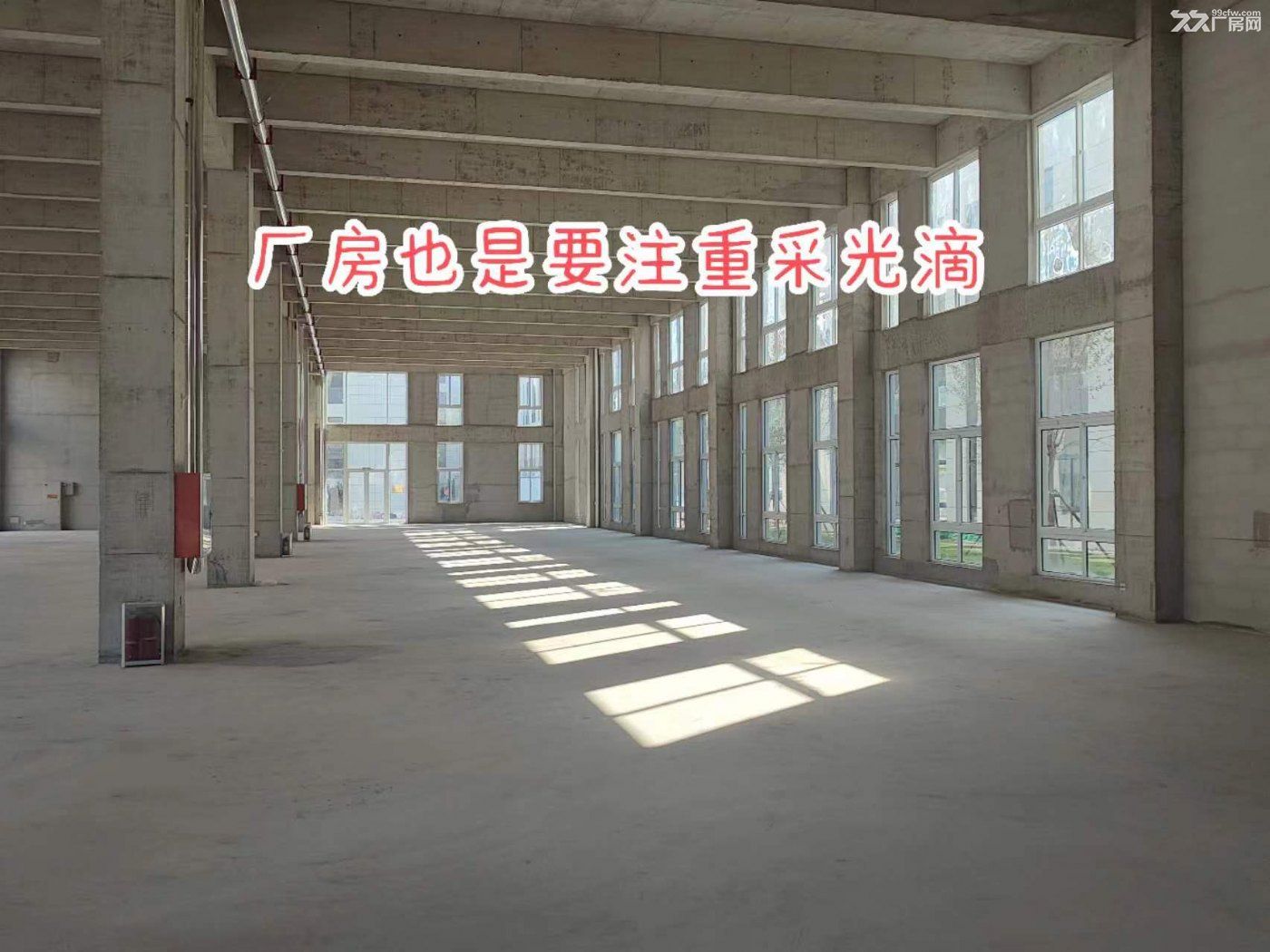 工业北丨双层三层独栋丨层高7.8,11.4米大跨距 - 6