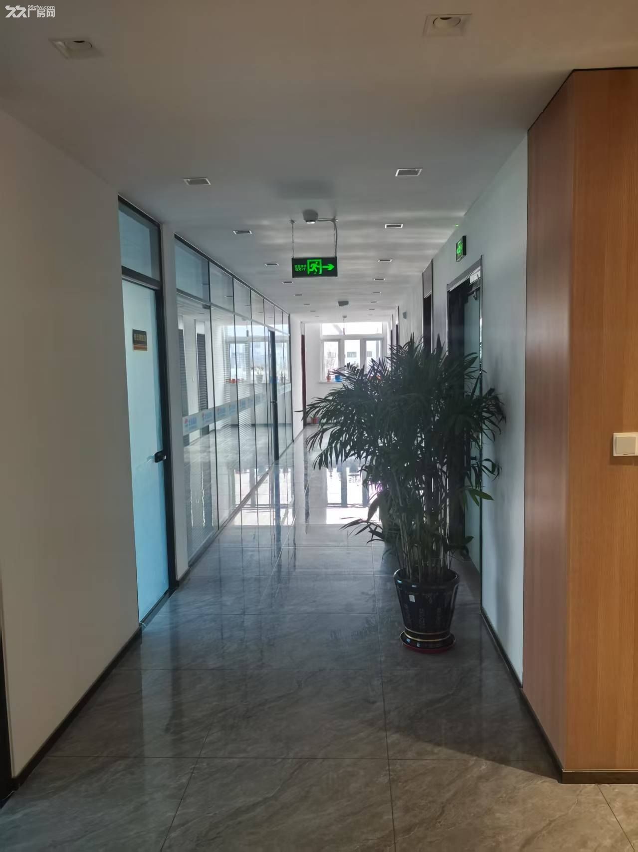 出租芦台经济开发区全新工业厂房 - 2