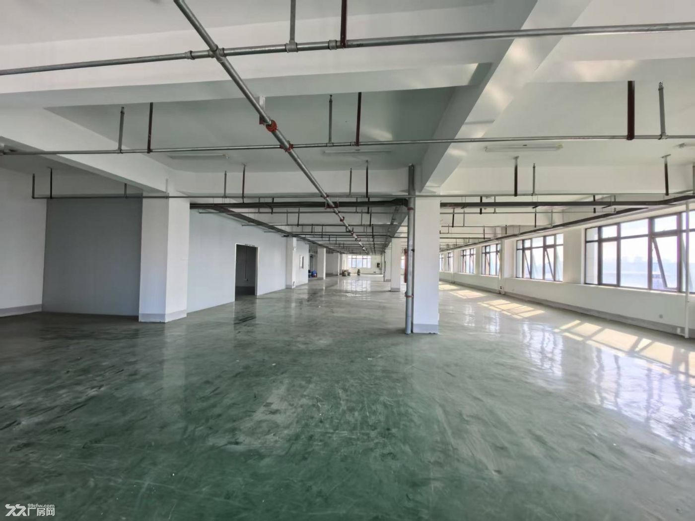 新站标准厂房300至920平,可分租,地坪已做办公室已隔 - 6