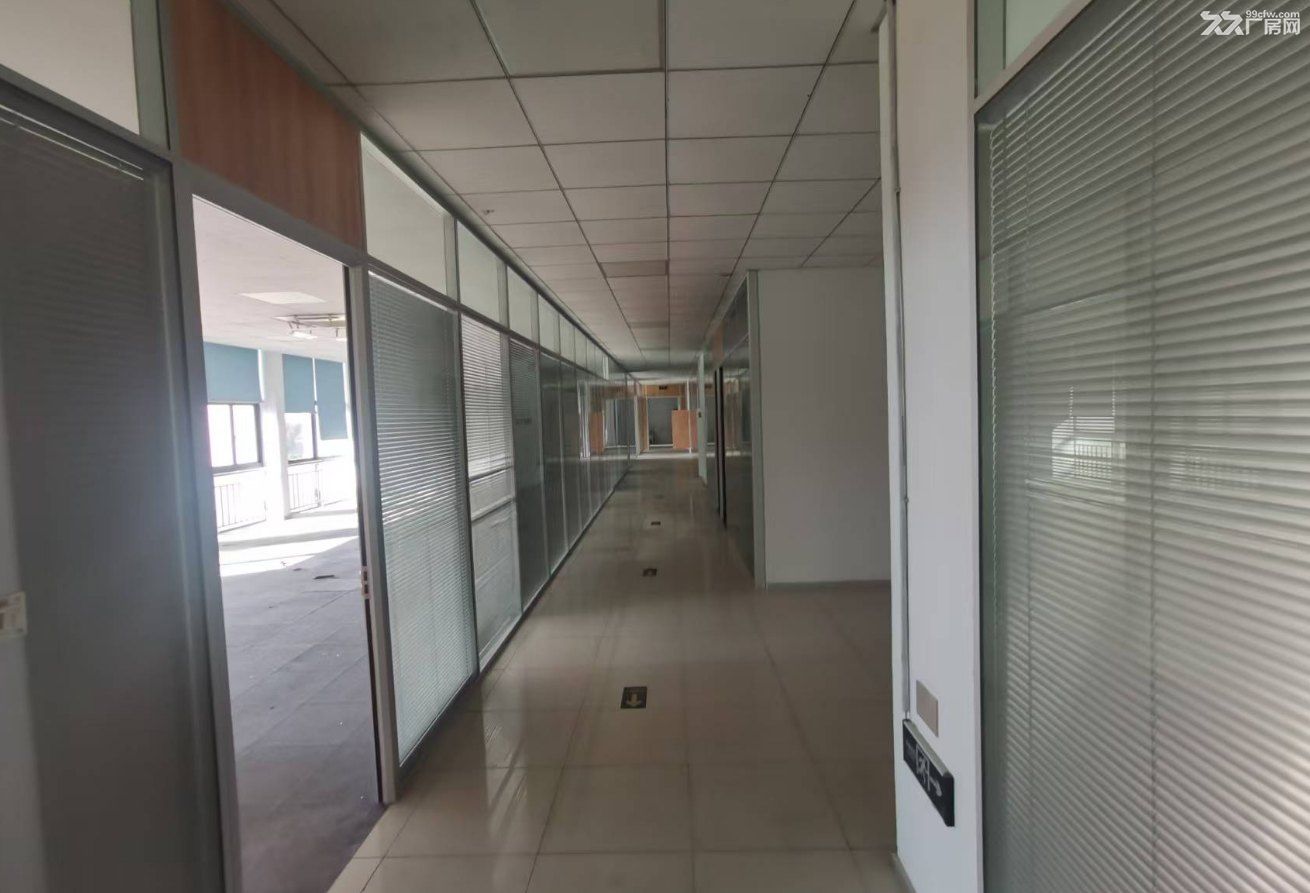 国企出品,高标准厂房,独门独院,有空地,停车免费 - 3