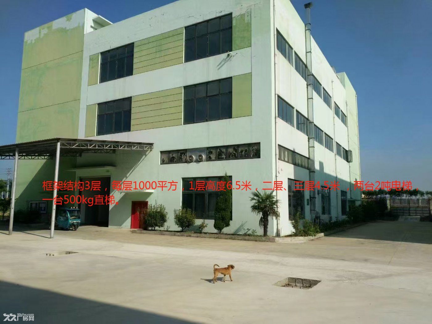 现有位于南京市浦口区石桥装备制造园标准钢结构厂房 - 7