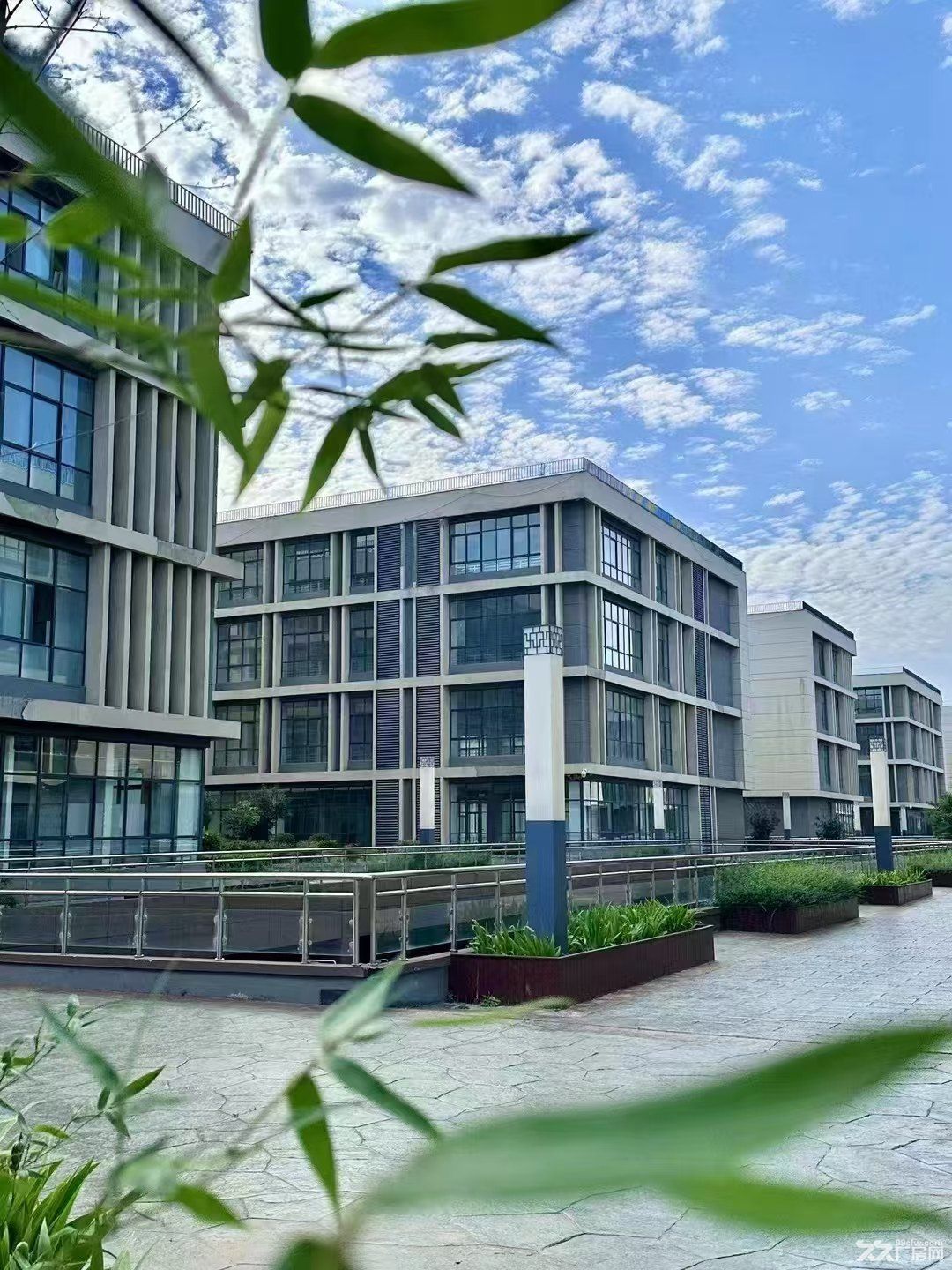 洛阳市 凌波桥附 厂房出租  工业厂房  生产厂房 仓库仓储 - 5