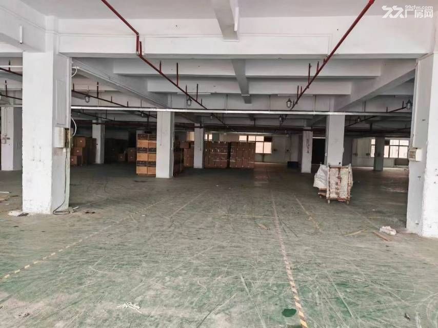 龙江镇西庆房东厂房直租 - 5