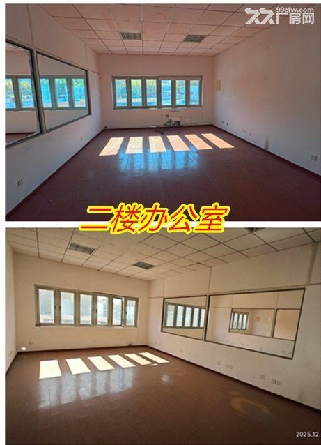 闵行金都路单层厂房仓库出租 - 2