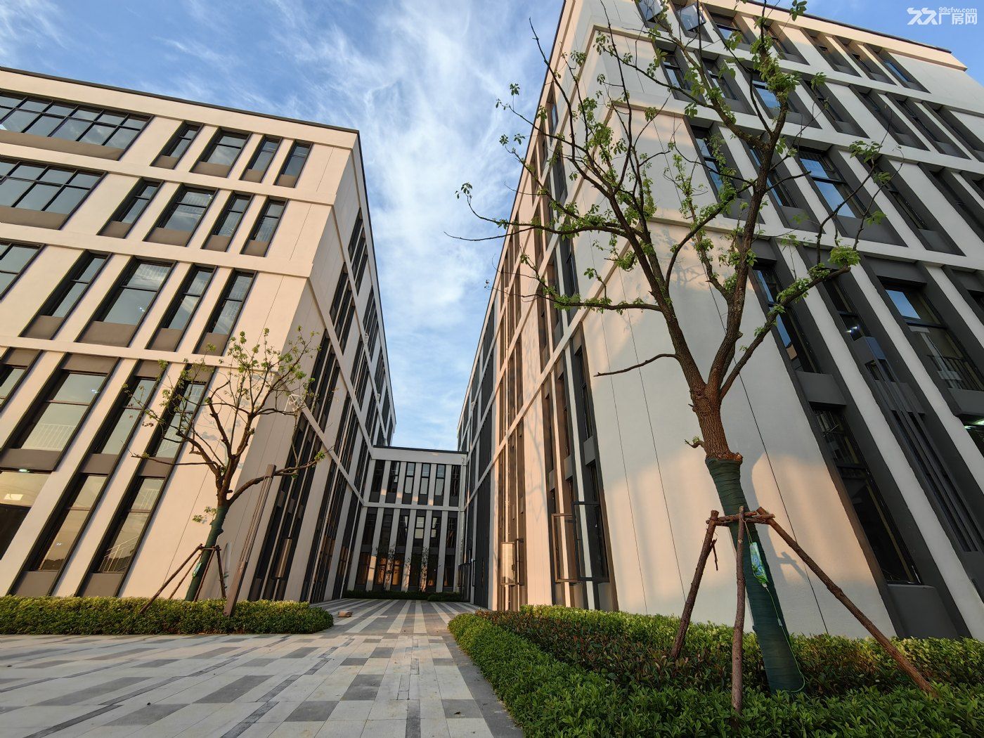 量身定制，建造理想厂房，独栋厂房 - 5